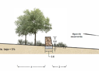 Esquema d'una terrassa d'una àrea de renaturalització
