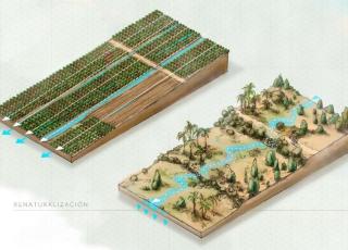 Esquema d'una àrea de renaturalització