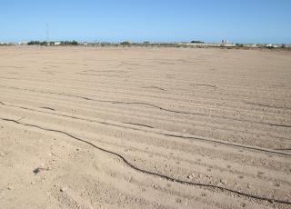 Ubicación de la intervención en el parque inundable de Los Alcázares