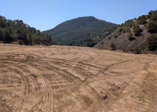 Restauración ambiental de los yacimientos mineros de Peña del Águila