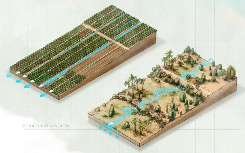 Esquema d'una àrea de renaturalització