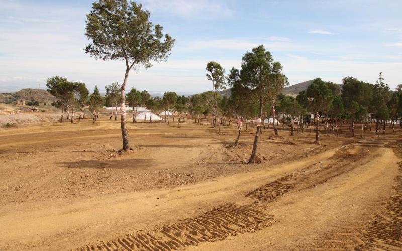Zona de restauración previo a los pretratamientos